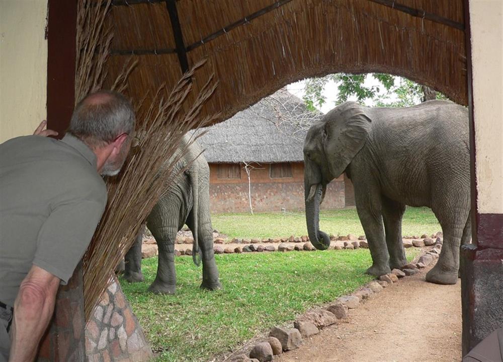 Kafunta River Lodge